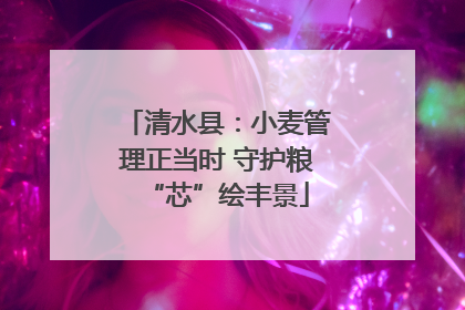 清水县：小麦管理正当时 守护粮“芯”绘丰景